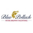 Blue Pollack