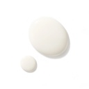 The Light Cream Face Moisturizer - 30ml