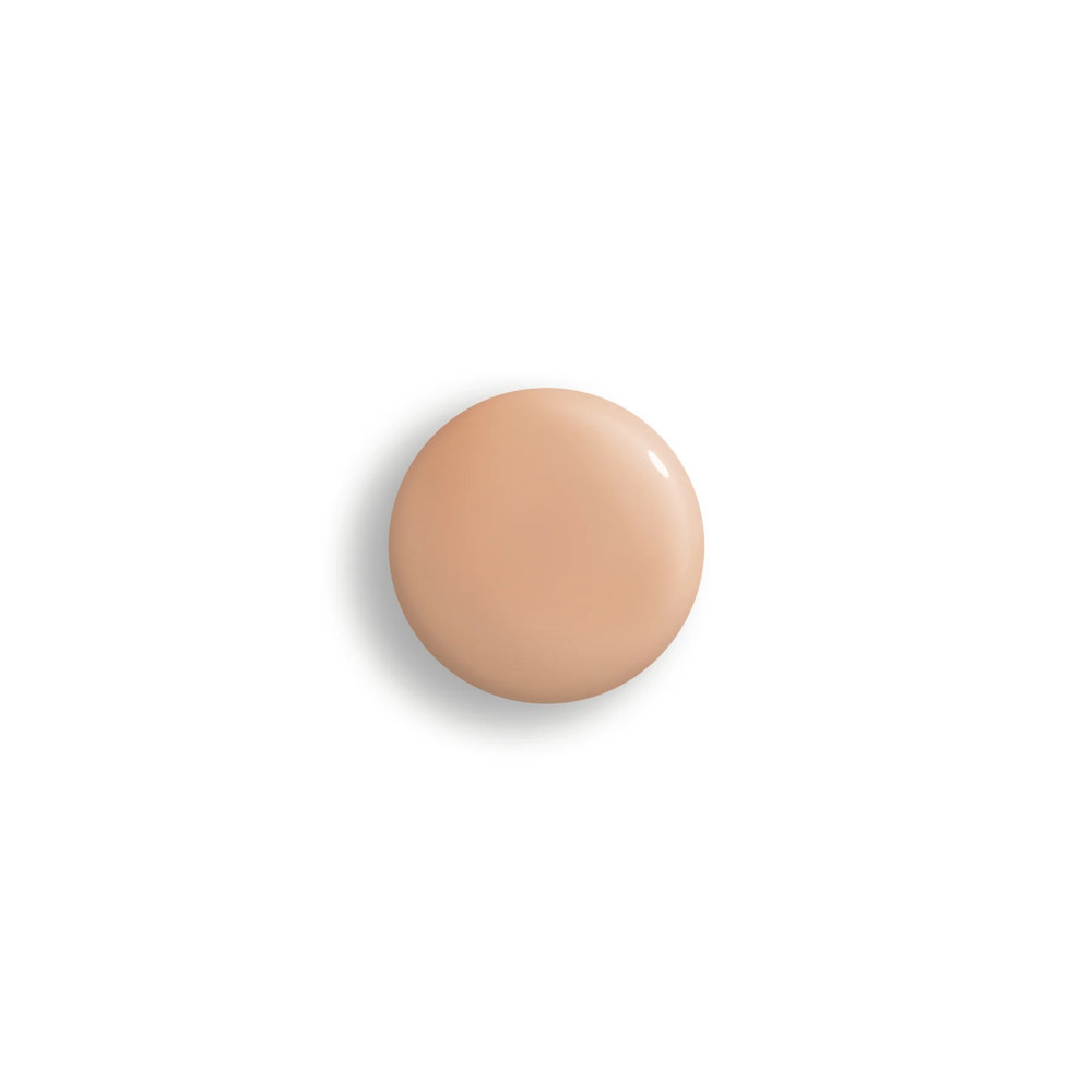 Phyto-Teint Perfection Foundation - N 2W2 - Desert