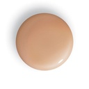 Phyto-Teint Perfection Foundation - N 5N - Pecan