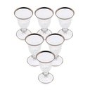 6 PCS GOBLET PLATINUM