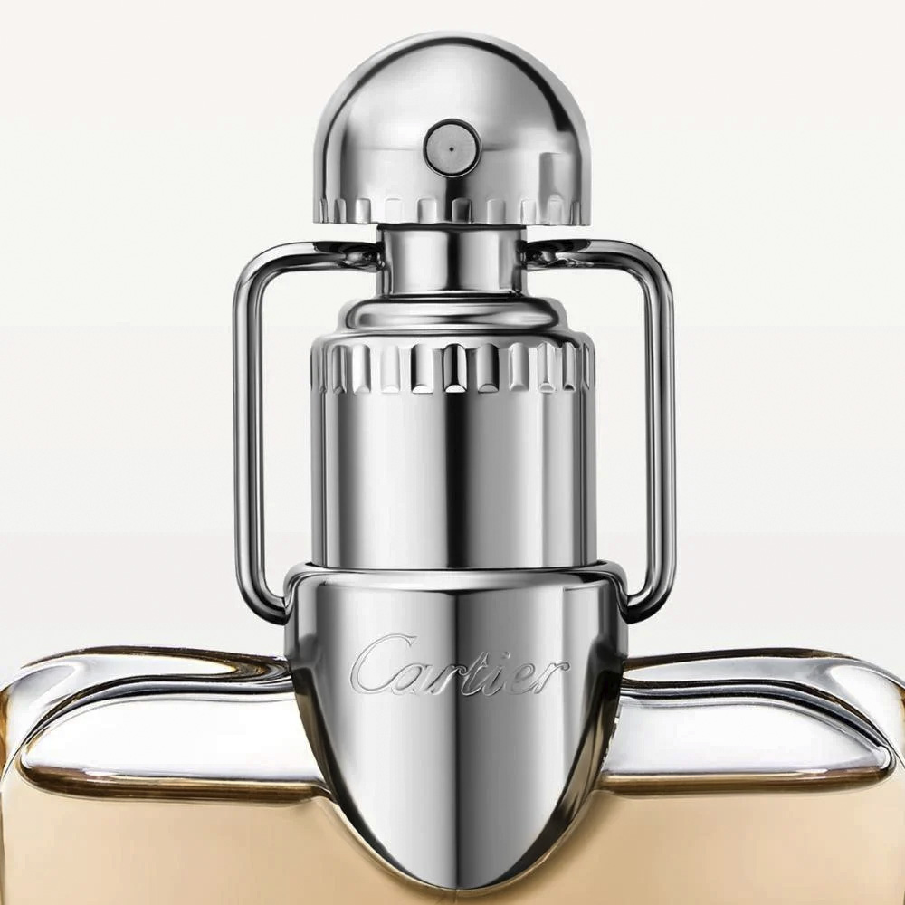 DECLARATION EDP 100ML SP