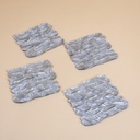 COASTERS 10*10cm OLD SILVER (x4)