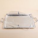 Silver Rectangular Tray with Clear Cover - 310×565mm