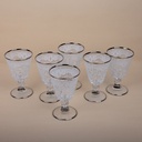 Dantel White Platin Glass Set - 6pcs