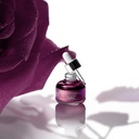 Black Rose Precious Face Oil - 25ml