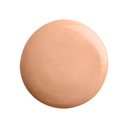 Phyto -Tient Ultra Eclat Foundation - N5+ Toffee