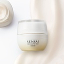 Absolute Silk Cream - 40ml