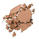 Cellular Performance Total Finish Foundation Refill - N 24 Amber Beige