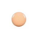 High Coverage Concealer - N 111