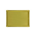 Secret Acrylic Tray 37x28cm - Green