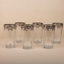 Island Platinum Tumbler Glass Set - 6pcs