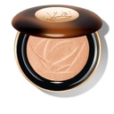 Teint Idole Ultra Wear C.E. Highlighter - N02