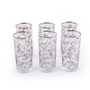 Water 6-Piece Glass Set 