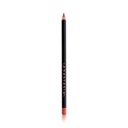 Lip Liner - Peach Amber