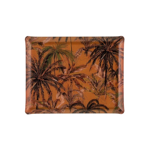 Plateau Acrylic Belize Marron Tray