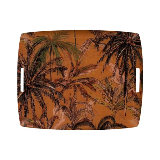 Plateau Acrylic Belize Marron Tray