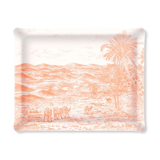 Fusain Acrylic Tray 46x36cm - Sahara