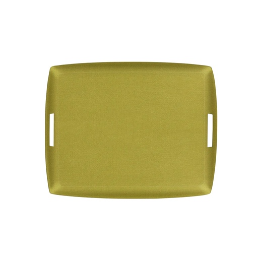 Secret Acrylic Tray 54X43cm - Green