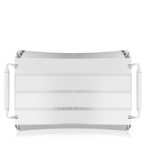 Lines Inox Rectangular Serving Steel Tray
