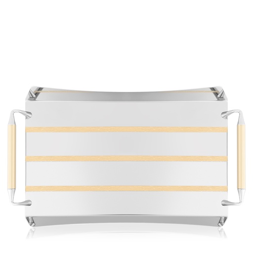 Gold Lines Rectangular Serving Steel Tray
