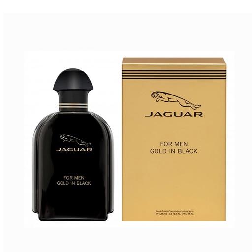 Gold In Black Eau De Toilette - 100ml - Men
