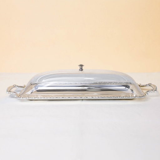 Silver Rectangular Tray with Clear Cover - 570*205mm