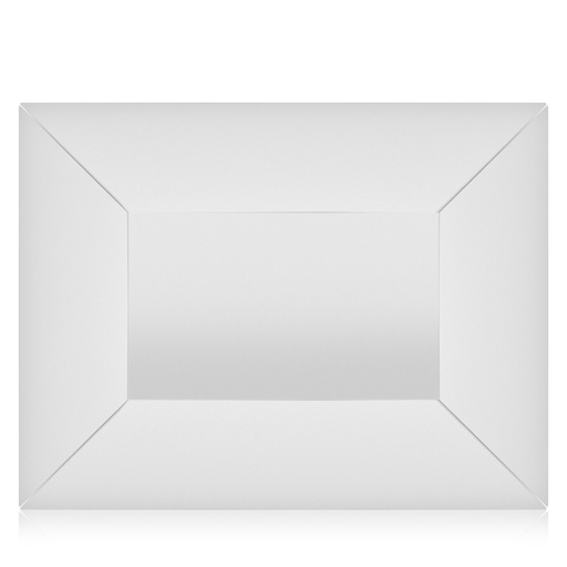 Stainless Steel Tray