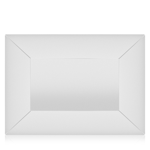 Stainless Steel Rectangular Tray